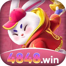 4848win Plus v5.3.2
