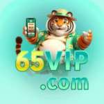 65vip - Pro Edition v1.8.1