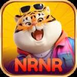 nrnr - Prime Earning App